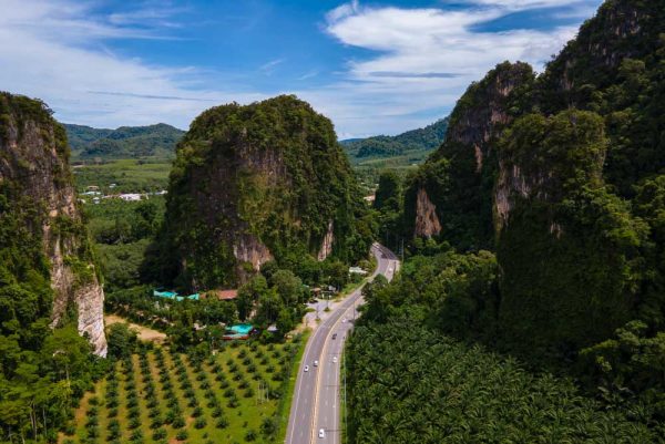 Best Ways To Travel From Bangkok To Khao Yai National Park - That ...