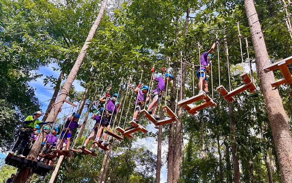 Tree-Top Adventure Park