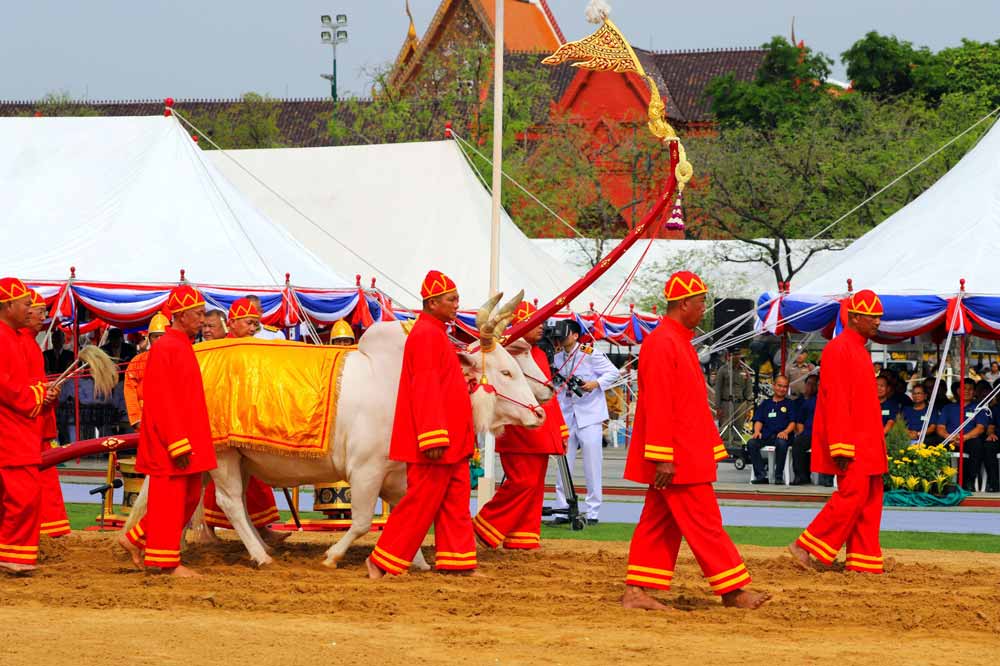 Royal Plowing Ceremony