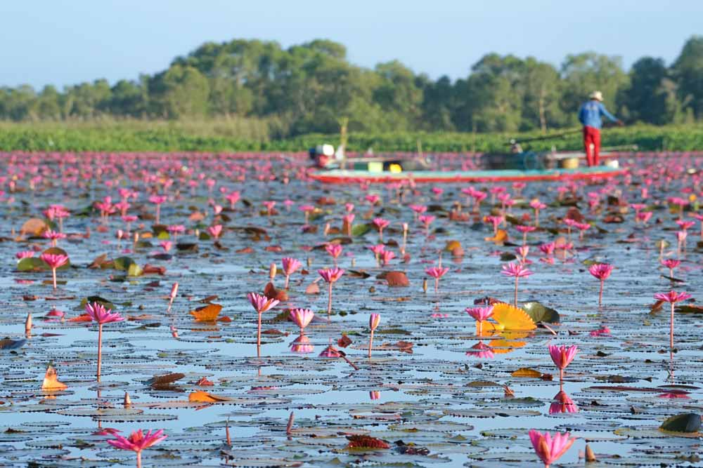 Samut Prakan Lotus Event