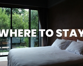 Where To Stay